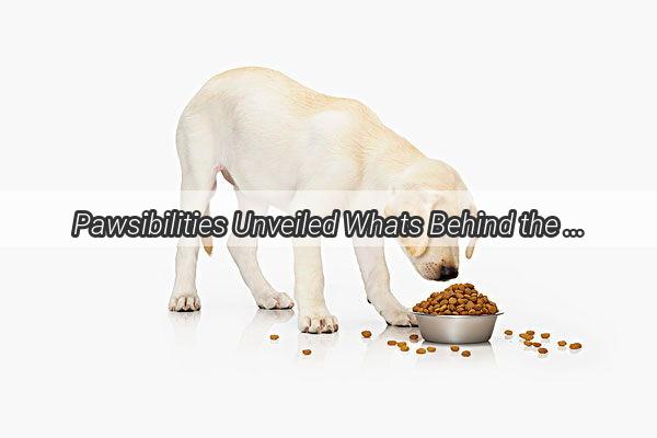 Pawsibilities Unveiled Whats Behind the Blood in Your Dogs Urine